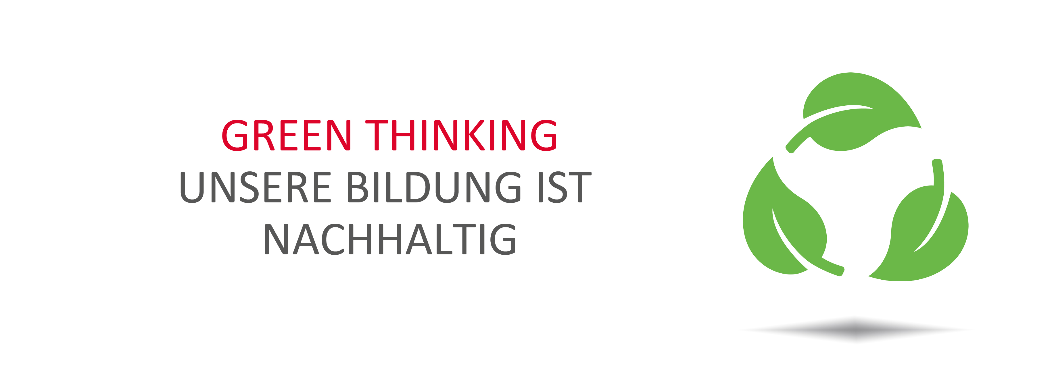 BUT NEU 030504 GreenThinking v2